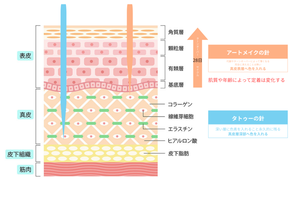 アートメイクとタトゥーの違い